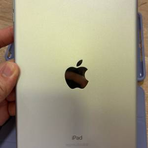 銀色 iPad mini 5 64gb wifi版