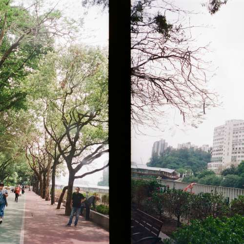 OLYMPUS PEN-EES-2 半格機 菲林相機