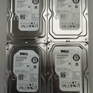 WD 250GB 7200RPM 3.5" SATA (企業級專用的)