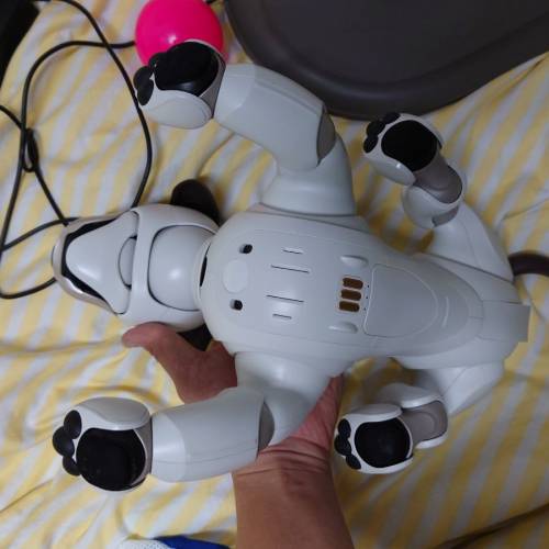 Sony aibo ers-1000 寵物狗