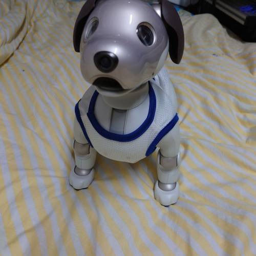 Sony aibo ers-1000 寵物狗