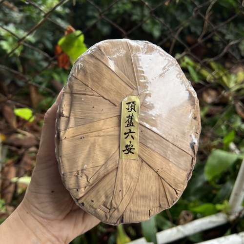 2006年 - 孫義順頂級六安茶
