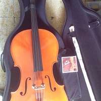 大提琴 CELLO