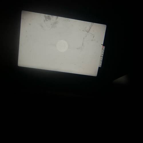 Canon Ae-1 /w 50mm F1.4