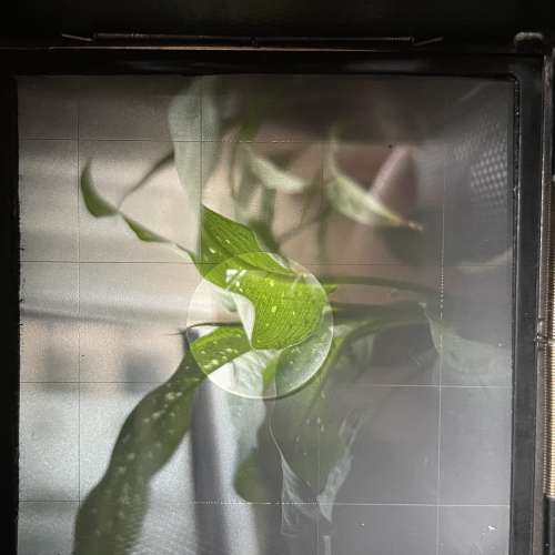 Bronica S2 set + Nikkor H.C 75 2.8