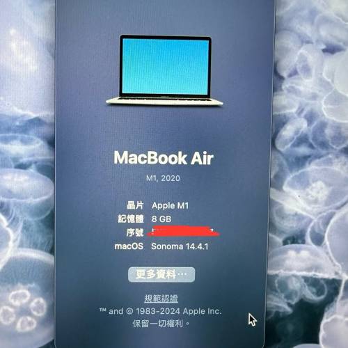 Macbook Air M1(2020版) 256GB