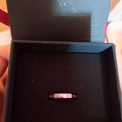 DW戒指（58玫瑰金色）