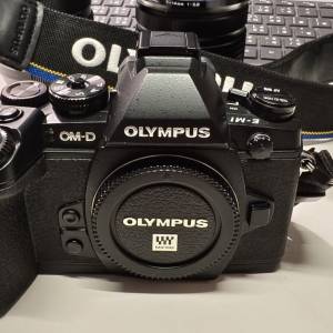 Olympus E-M1 無反相機