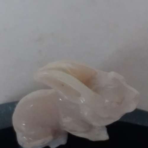 澳洲opal一吋兔仔 配上黑瑪瑙 底座