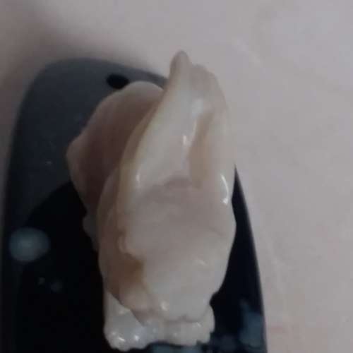 澳洲opal一吋兔仔 配上黑瑪瑙 底座