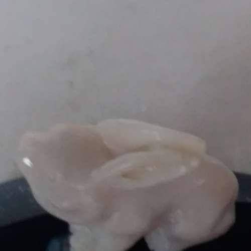 澳洲opal一吋兔仔 配上黑瑪瑙 底座