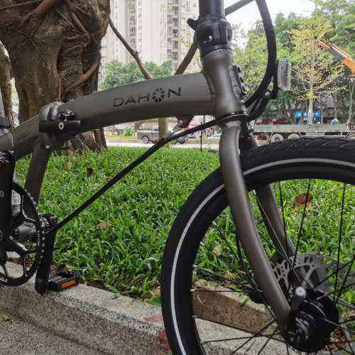 2024 馬甲線款 DAHON P10 (PAA003) 10速油剎 20吋折叠車 送水架前後蛙燈叮叮