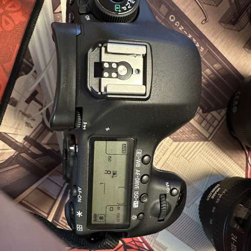 Canon 5D Mark III + Canon Zoom Lens EF 24-105mm 1:4 L IS USM