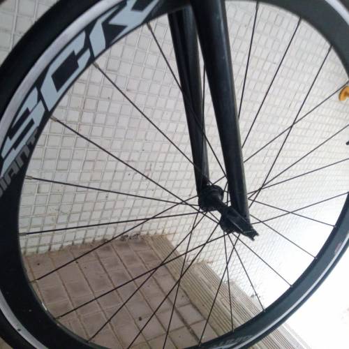 Giant SCR 高階入線版   ( 2x9速   新淨程度90%以上 ）