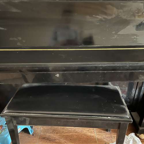 鋼琴，書櫃，書架，電視櫃，餐桌椅，沙發