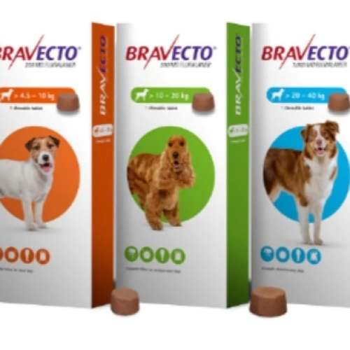 Bravecto for dog