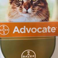 Bayer Advocate for cat