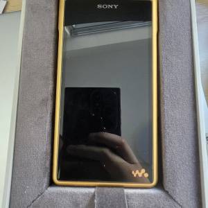 Sony NW-WM1ZM2+ pw audio first time 接地盒