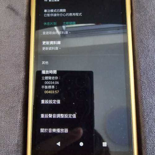 Sony NW-WM1ZM2+ pw audio first time 接地盒