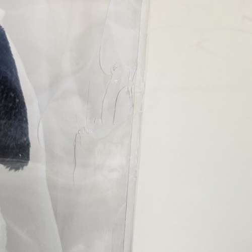 全新日本購入 Snoopy & Belle 西式結婚公仔 Wedding Doll