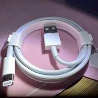 Apple USB 叉電線 1米