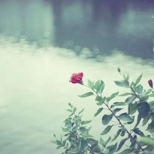 fujifilm 富士 電影 菲林