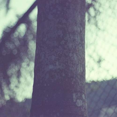 fujifilm 富士 電影 菲林