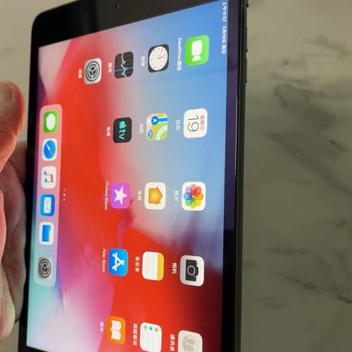 i pad mini2 16gb can put sim card