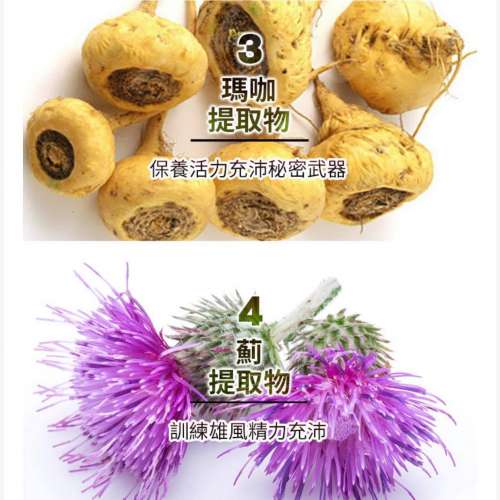 TITAN GEL GOLD 黃金裝加強版 當今首屈一指 全球最佳男仕陰莖增大膠凝膠