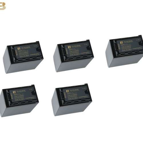 FB灃標 VW-VBD98 Lithium-Ion Battery Pack With Charger 代用鋰電池連充電機 (7.2...