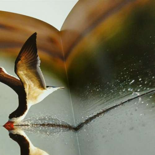 Nikon D850 日文版 CATALOGUE