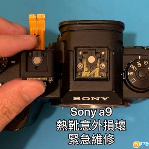 [SONY A1 A7 A9 維修] SONY A7M3 A7III A7RM3 A7RM4  A9 A1 維修 壞 失靈 外殼更換