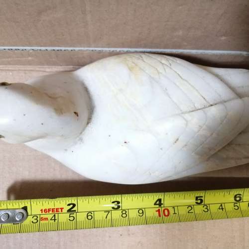 石鴨石鴨石鴨石鴨