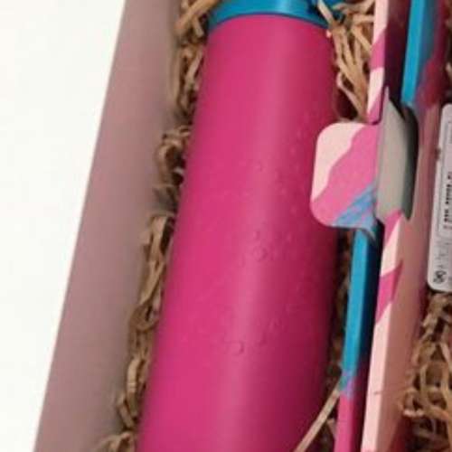 [日本直送] 全新 購自日本 Brand New Japan Starbucks Mug Thermos Sakura 日本星巴...