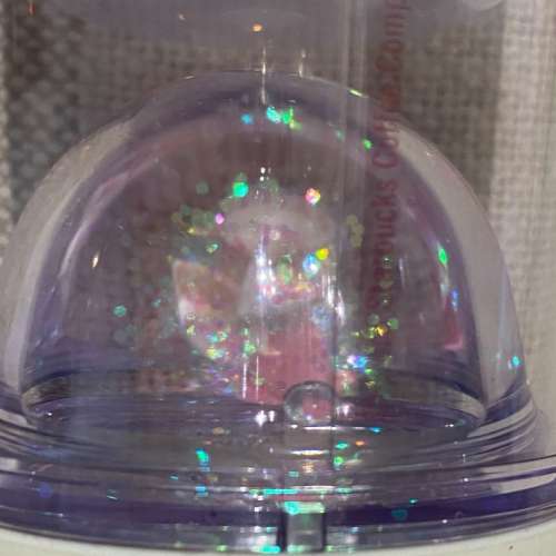 全新 購自日本 Brand New Japan Starbucks Mug Sakura 日本星巴克櫻花壺杯 355ml