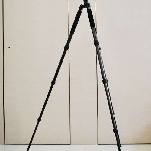 Rollei Tribute TL0815 碳纖腳架 + Pro BHL-1531 球型雲台