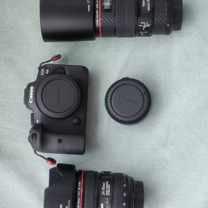 Canon R6 24-70mm f/4 100mm L