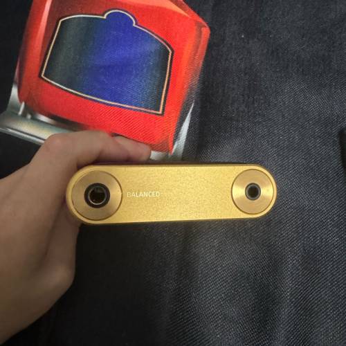 Sony WM1Z 金磚 一代