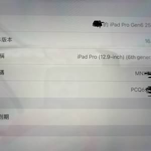 iPad Pro Gen6 256G 銀色 WiFi版