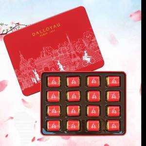 DALLOYAU Gianduja Chocolate Gift Box (16pcs) e-Voucher 榛子朱古力禮盒 (16粒裝)...