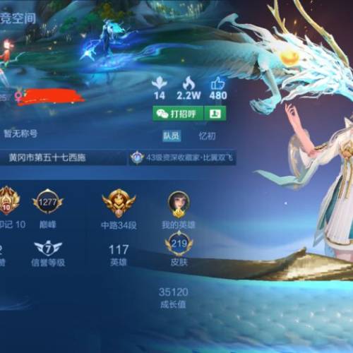 王者榮耀代打/女陪玩