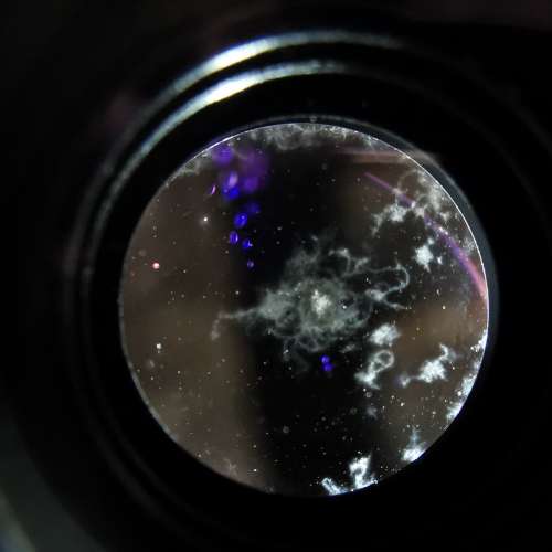 Rodenstock APO-RODAGON 50/2.8 放大鏡頭