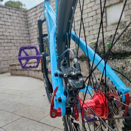 BOARSE博睿思自組高性價比土坡硬尾AM動作花式大街車整車