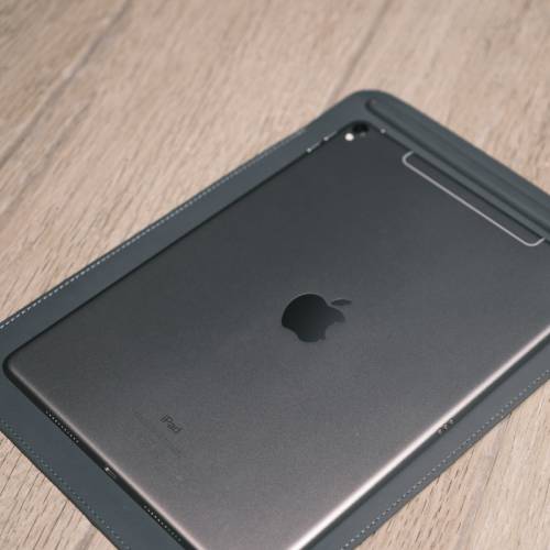 Apple iPad Pro 10.5 256GB Wi-Fi + Cellular 插卡版 (可加Smart Keyboard+Pencil)