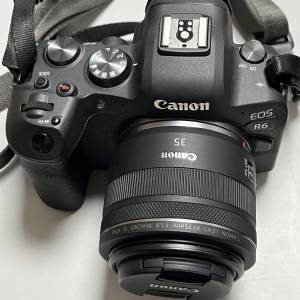 Canon EOS R6 - RF 35mm f1.8 / RF 50mm f1.2