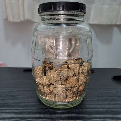 2000 年時代 膠蓋 大厚 玻璃瓶樽 多用途 承載 收納 貯存 散裝 物品 可裝 補酒 浸梅...