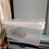 養昆蟲的箱連飾物（12x6吋）$50