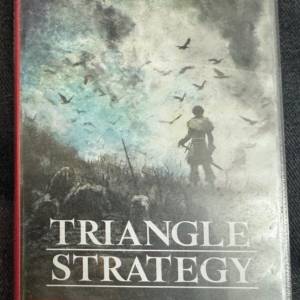 三角戰略 triangle stratgey switch game 遊戲