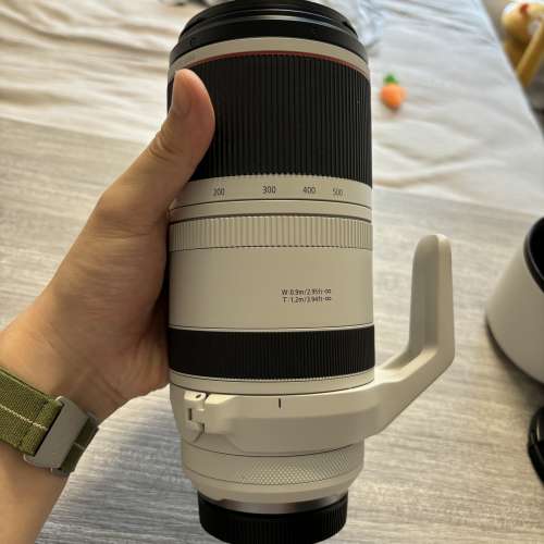 RF100-500mm f4.5-7.1 l is usm