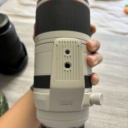 RF100-500mm f4.5-7.1 l is usm